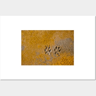 Dog Paw Prints Posters and Art